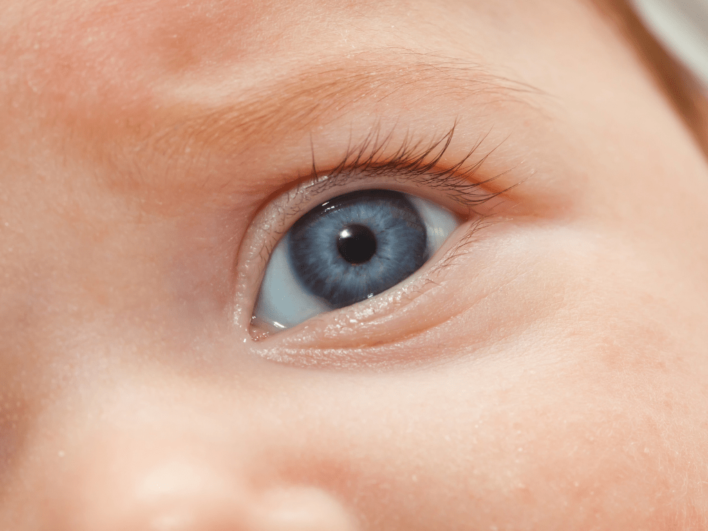 Вероятность наследования цвета глаз