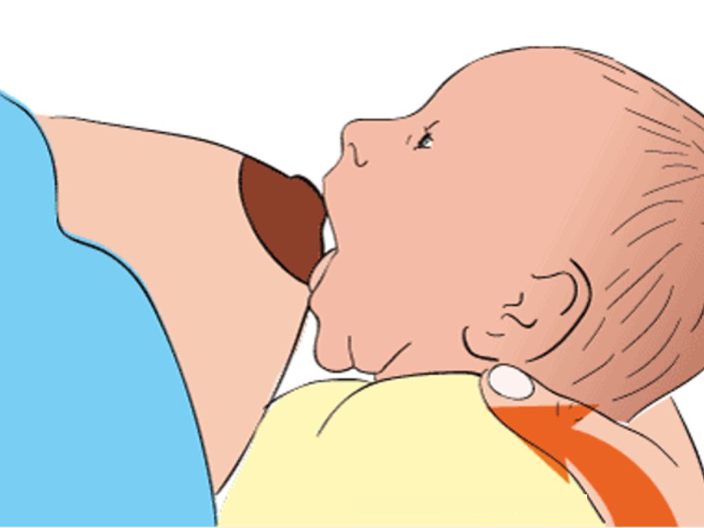 Правильное прикладывание к груди новорожденного - Иркутский городской перинатальный центр имени Малиновского М.С.